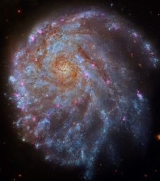 Спиральная галактика NGC 2276. Эта красивая галактика расположена на расстоянии 120 миллионов световых лет в созвездии Цефея.
