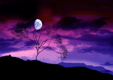 night_moon_clouds_trees_475191