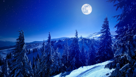 Луна, зима, обои. Фотомонтаж.