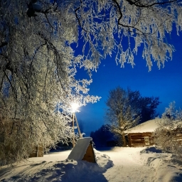 Красота России, снежно, зима, ночь, Луна светит ярко
