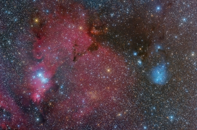 Туманности NGC2264 и IC2169 от Tadayoshi Kosugi