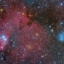 Туманности NGC2264 и IC2169 от Tadayoshi Kosugi