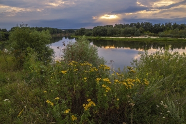 Тихий вечер на реке Дон, Россия, природа
