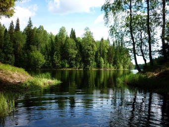 Лес, речка, Россия, природа, красота
