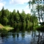 Лес, речка, Россия, природа, красота
