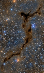 Тёмное облако космической пыли - туманность Морской конек. Находится в созвездии Цефея на расстоянии 1200 световых лет от нас.