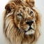 Рисунки льва