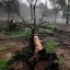 iPHONE 12 PRO, фотография, упавшее дерево в лесу