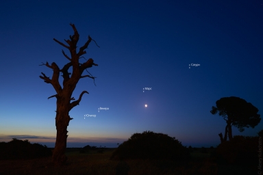В сегодняшнем параде планет участвуют пять планет и Луна. Юпитер, Нептун, Венера, и тд 2