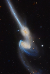 Сталкивающиеся галактики Мышки (NGC 4676), находятся на расстоянии 300 млн св. лет от нас в созвездии Волосы Вероники.