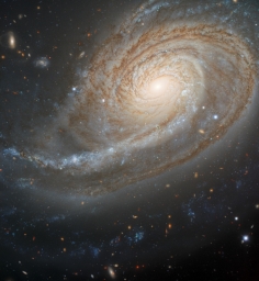Арп 78: пекулярная галактика
