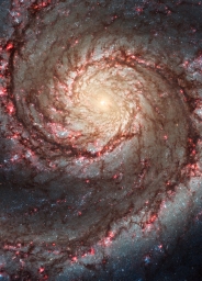 Центральный регион галактики М51, расположенной на расстоянии 31 млн световых лет от Земли в направлении созвездия Гончие Псы