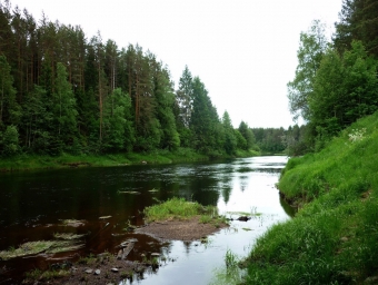 Красивая Россия, подборка фотографий, речка, природа, красота
