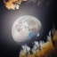 Изображение Луны, полная Луна. Арт рисунок