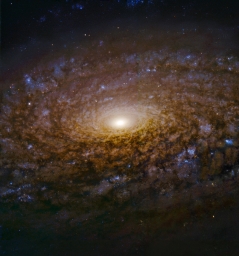 NGC 3521 – спиральная галактика, расположенная в 35 миллионах световых лет от Земли. Размером эта галактика примерно в 2 раза ме