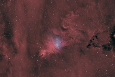Туманности NGC 2264 от Antero Albersdörfer