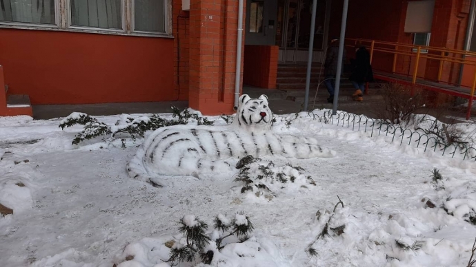 Тигр из снега, сугроба, красив