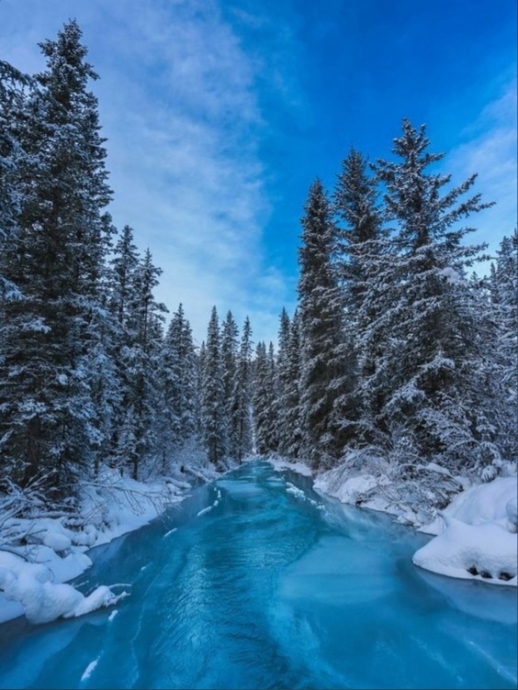 Россия, лес, зима, фото, красота, с телефона