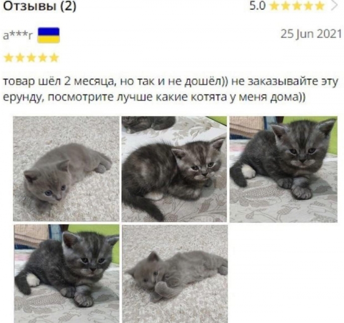 Так, стоп