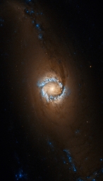 Центральная область спиральной галактики NGC 1097