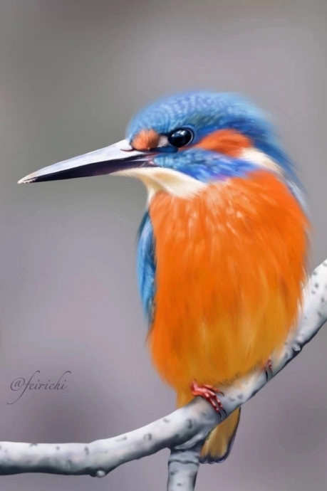 Красиво нарисованная птица