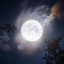 Луна, фото арт. Яркая, светящаяся