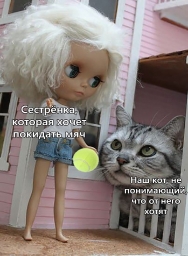 Все мемы о котятках