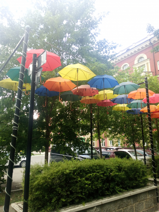 Зонтики город Жуковский аллея