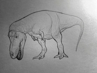 Динозавр карандашом. Рисунок. Простым карандашом.