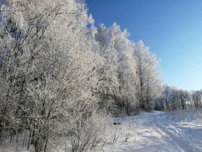 Смоленская область. ЗИМА. КРАСОТА. СНЕЖНО. МНОГО КРАСОТЫ