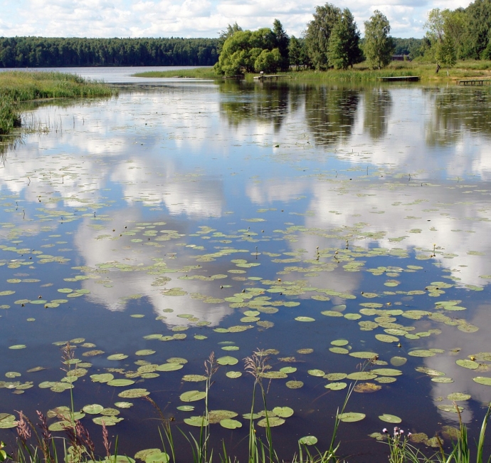 Фото России, природа, пруд, водоём, леса