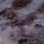 Фото поверхности Марса с МКС, 2024, март месяц