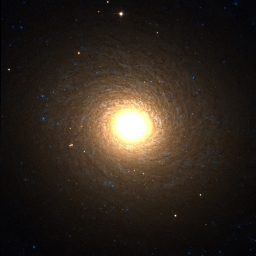 Спиральная галактика NGC 7217 в созвездии Пегас, находится в 50 млн. св. лет от нас.