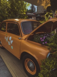 Авто, советский, цветы