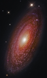 Завораживающе фото спиральной галактики NGC 2841. Она находится от нас в 46 млн световых лет и имеет диаметр около 150 тысяч све