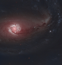 Обработанный снимок спиральной галактики NGC 1097, сделанный Джоном Бозманом.