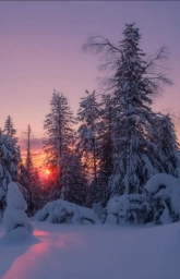 Россия, снежно, лес. Красиво. Зима. Фото