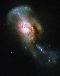 Объект NGC 4194 - пара переплетенных галактик в процессе слияния. Разделяют нас примерно 130 миллионов световых лет.