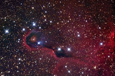 Туманность Хобот Слона - это яркая часть эмиссионной туманности и молодого звёздного скопления IC 1396 в созвездии Цефея. Объект
