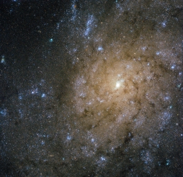 Джет из центра галактики NGC 7793