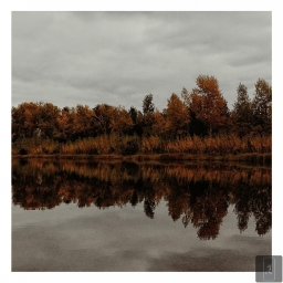 HONOR 8 + HONOR 20S | SNAPSEED   — Красноярск, Фото России, осень