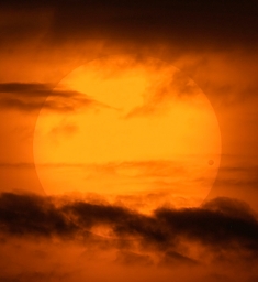 Прохождение Венеры по диску Солнца в июне 2004 года. Фото: David Cortner.