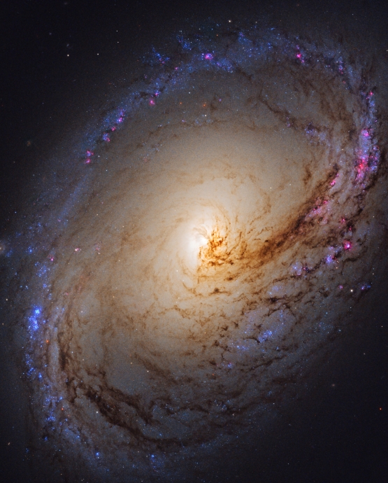 Спиральная галактика M96 имеющая диаметр около 100 тыс. св. лет