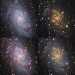 Так выглядит галактика Треугольника М33 в разных спектрах