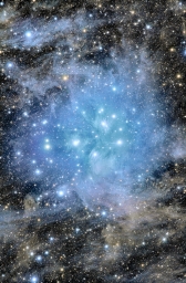 Рассеянное звездное скопление Плеяды или Семь Сестёр, которое насчитывает свыше 1000 звезд.