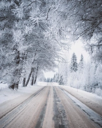 Зима, снег, дорога, деревья