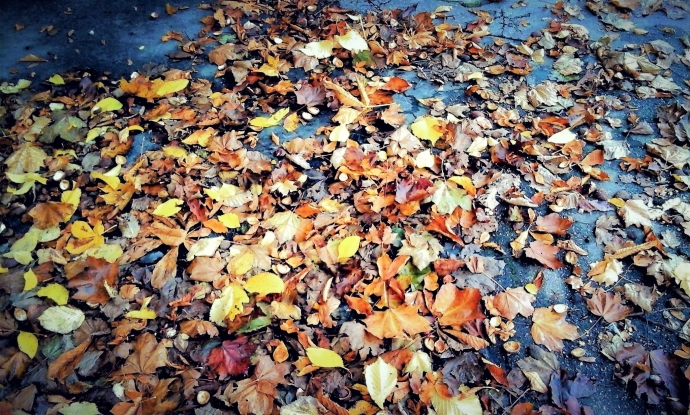 Просто осенние листья на асфальте, довольно творчески