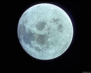 Фото Луны белого цвета, полная луна