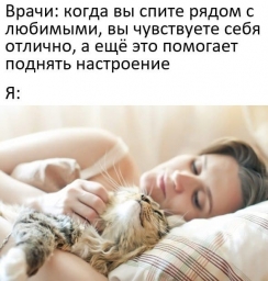 Мем, мило, котик, приколы, юморы, спит с котиком