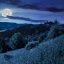 sky_mountains_forests_night_moon_grass_585387_3553x2369